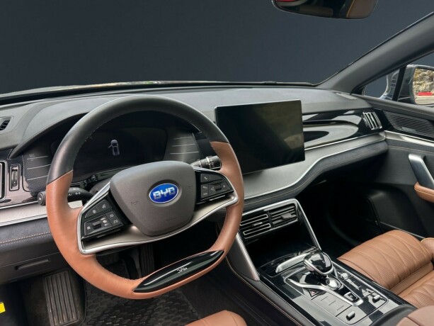 byd-tang-elektrisitet-2022-big-11