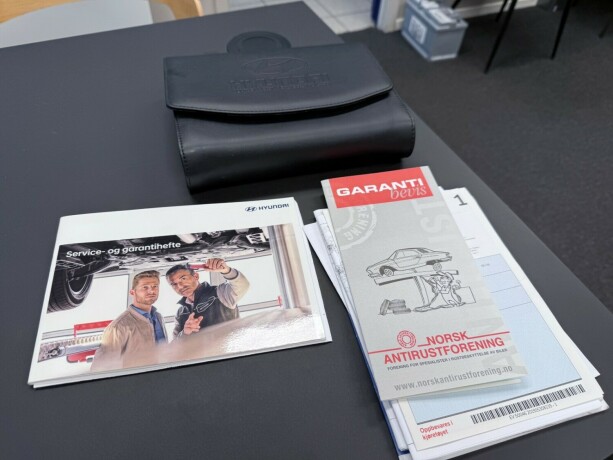 hyundai-ioniq-elektrisitet-2019-big-47