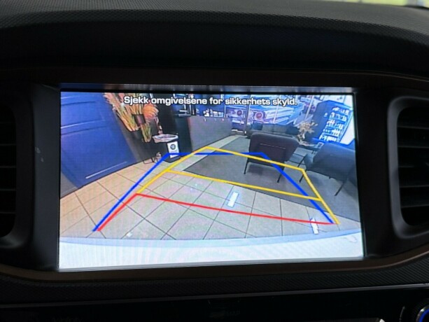 hyundai-ioniq-elektrisitet-2019-big-37