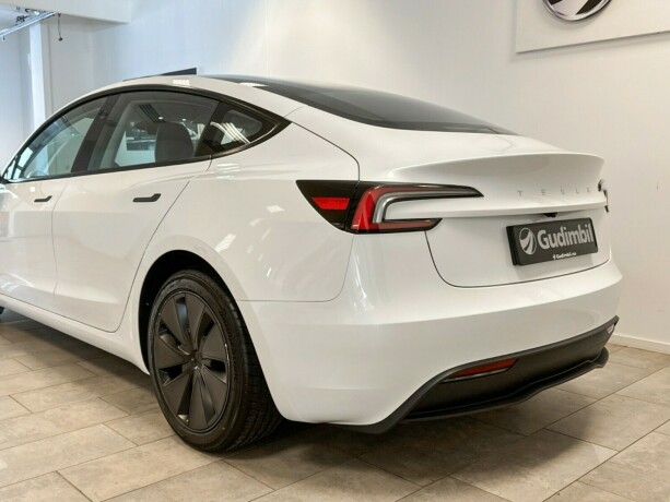 tesla-model-3-elektrisitet-2024-big-3