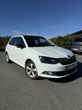 2017-fabia-skoda-12l-bensin-big-0
