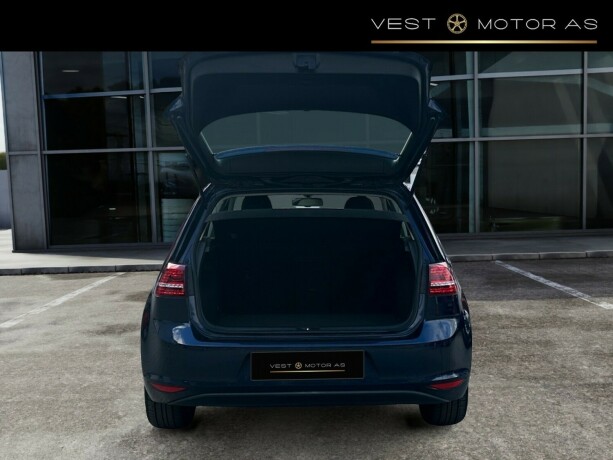 volkswagen-golf-elektrisitet-2015-big-6