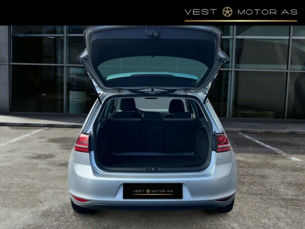 volkswagen-golf-elektrisitet-2016-big-6