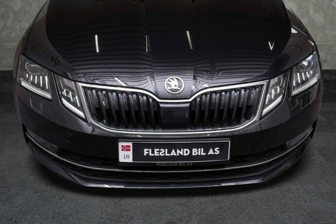skoda-octavia-diesel-2020-big-5