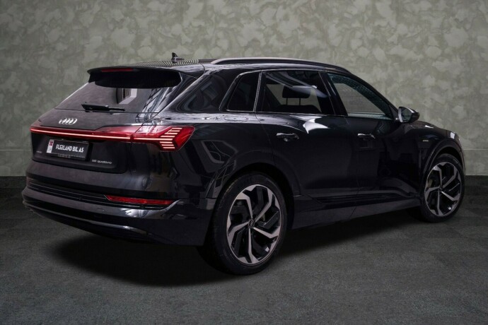 audi-e-tron-elektrisitet-2021-big-11