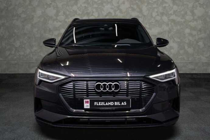 audi-e-tron-elektrisitet-2021-big-7