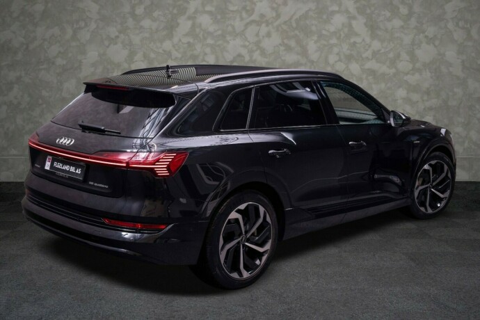 audi-e-tron-elektrisitet-2021-big-12
