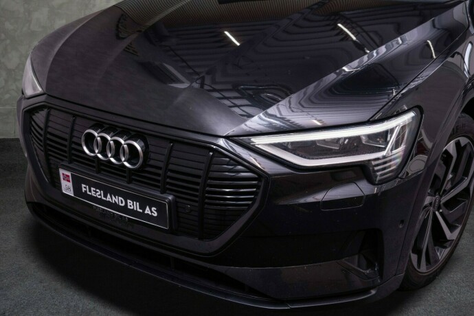 audi-e-tron-elektrisitet-2021-big-4
