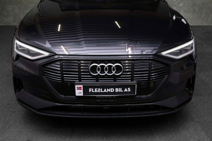 audi-e-tron-elektrisitet-2021-big-5