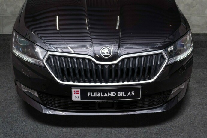 skoda-fabia-bensin-2021-big-5