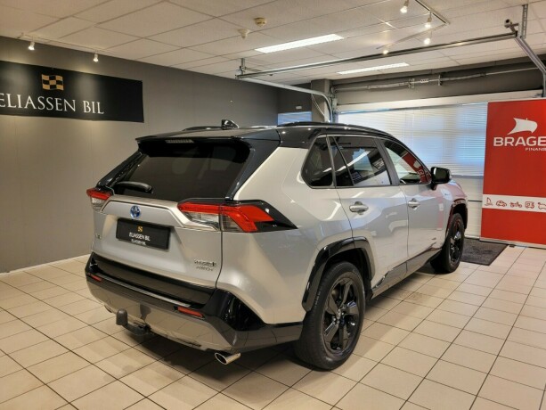 toyota-rav4-elektrisitetbensin-2019-big-5