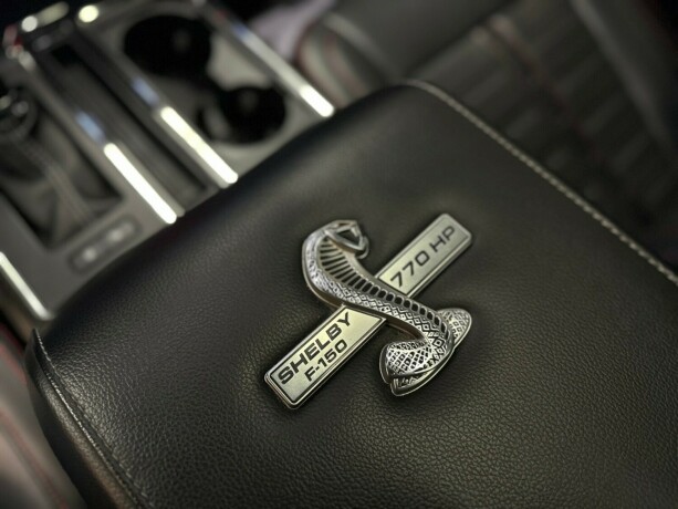 ford-f-serie-bensin-2020-big-43