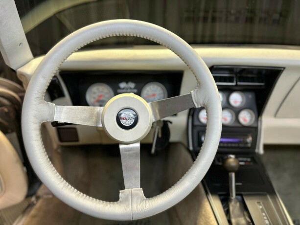 chevrolet-corvette-bensin-1978-big-30
