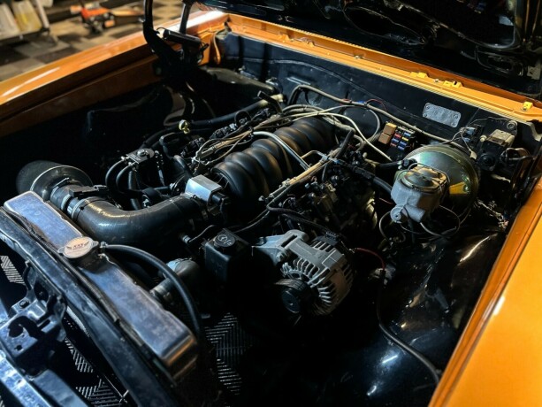 chevrolet-chevelle-bensin-1966-big-43