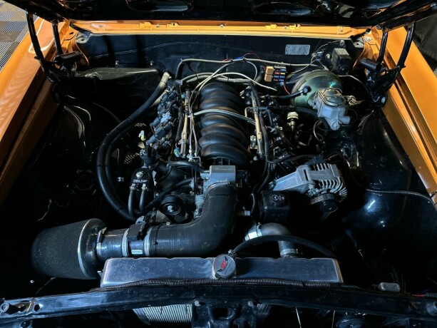 chevrolet-chevelle-bensin-1966-big-42