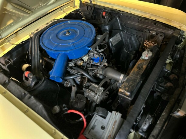 ford-mustang-bensin-1966-big-63