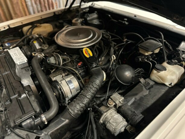 oldsmobile-bensin-1985-big-41