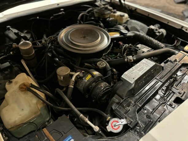 oldsmobile-bensin-1985-big-42