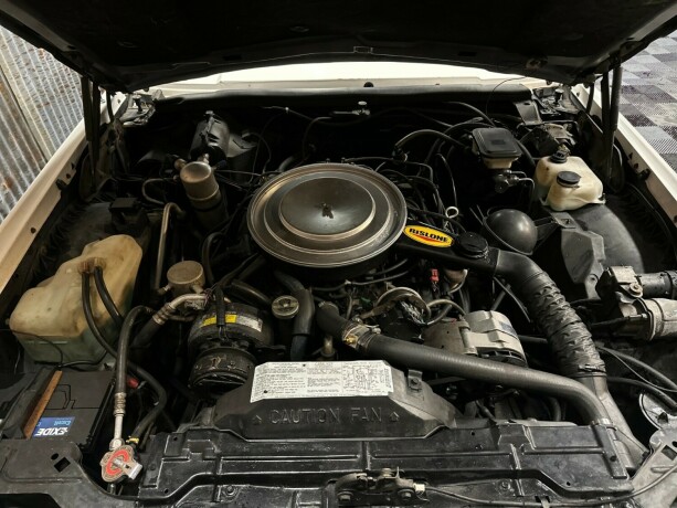 oldsmobile-bensin-1985-big-40
