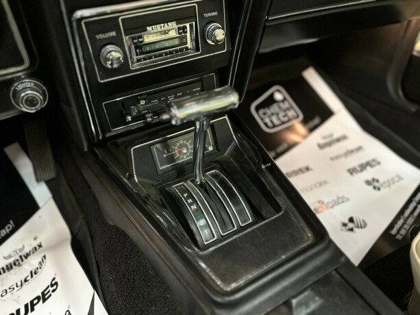 ford-mustang-bensin-1973-big-36