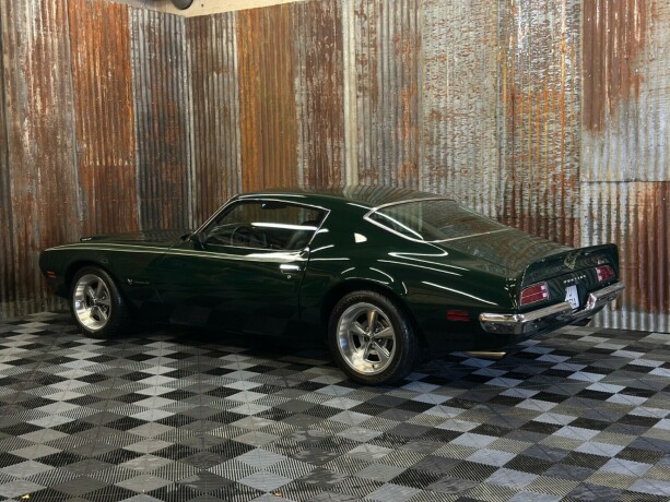 pontiac-firebird-bensin-1973-big-15