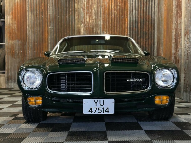 pontiac-firebird-bensin-1973-big-8