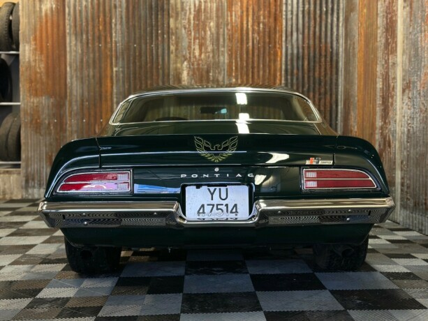 pontiac-firebird-bensin-1973-big-20