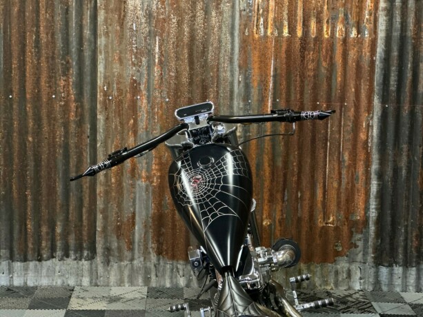 harley-davidson-softail-bensin-2006-big-29