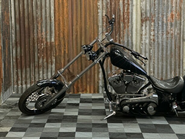 harley-davidson-softail-bensin-2006-big-22