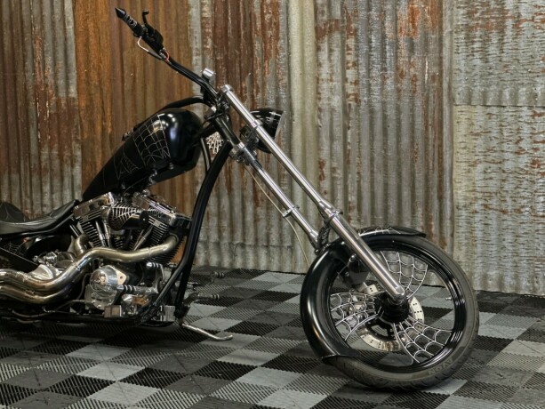 harley-davidson-softail-bensin-2006-big-3