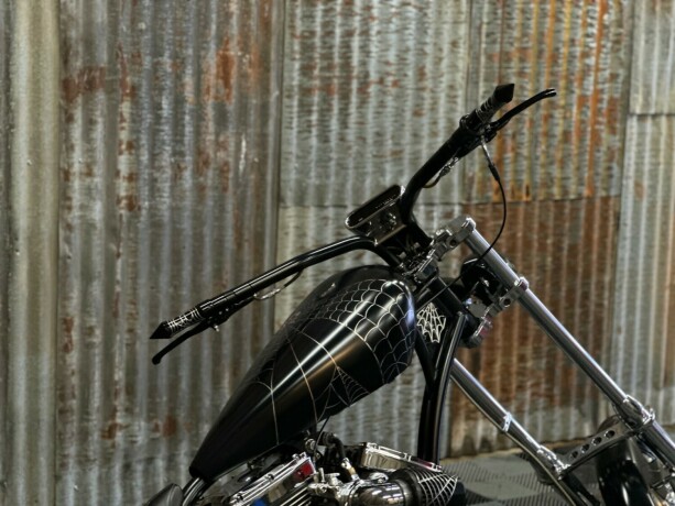 harley-davidson-softail-bensin-2006-big-15