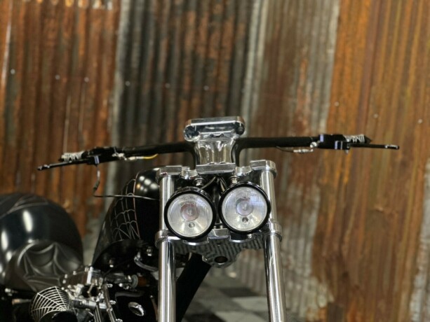 harley-davidson-softail-bensin-2006-big-18