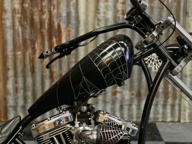 harley-davidson-softail-bensin-2006-big-7