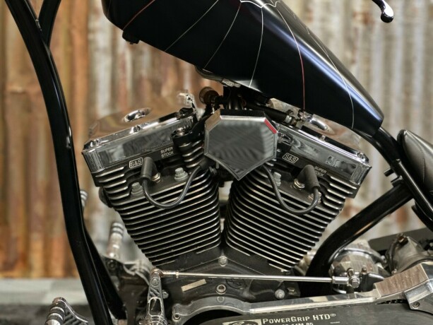 harley-davidson-softail-bensin-2006-big-25