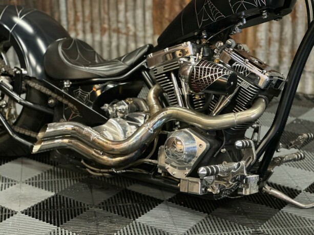 harley-davidson-softail-bensin-2006-big-6