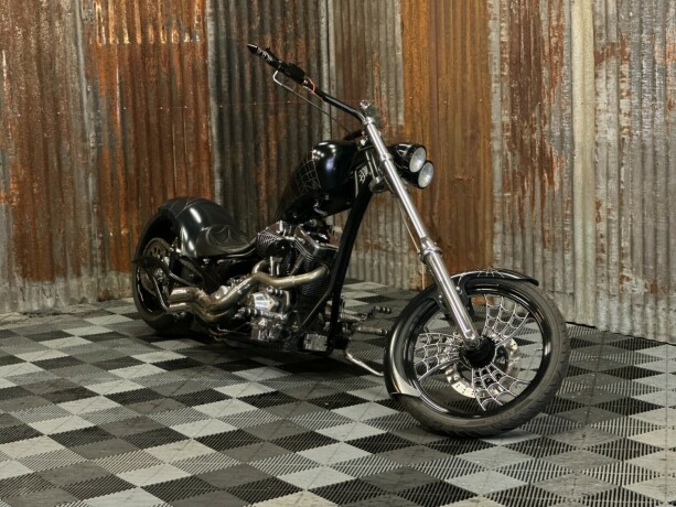 harley-davidson-softail-bensin-2006-big-4