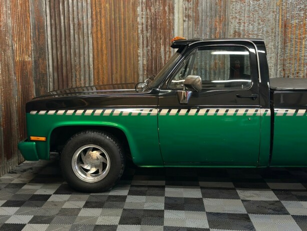 chevrolet-c-10-bensin-1981-big-15