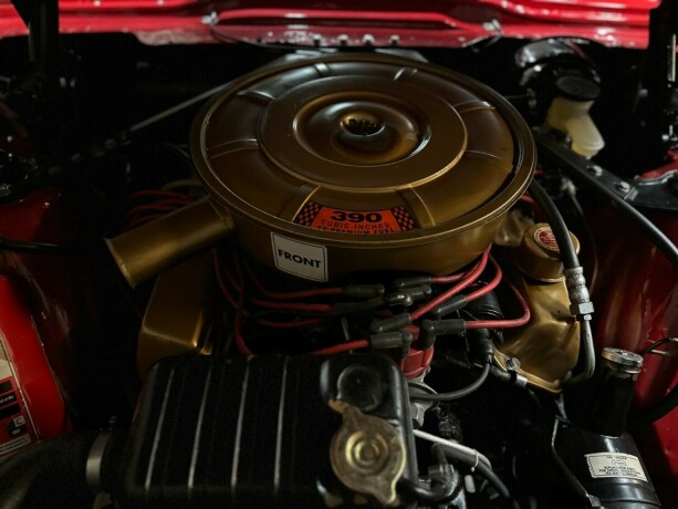 ford-thunderbird-bensin-1965-big-62