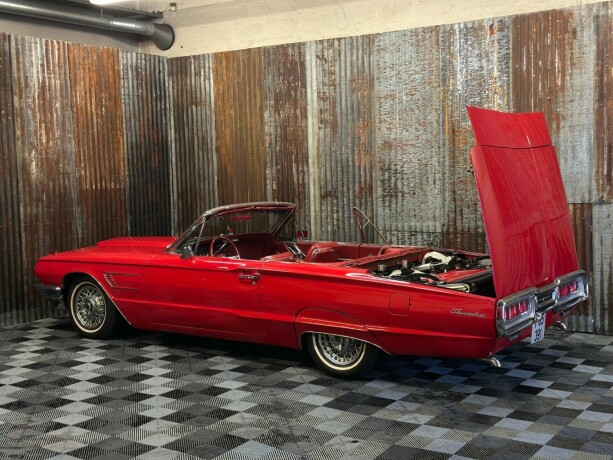 ford-thunderbird-bensin-1965-big-45