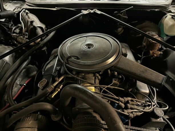cadillac-deville-bensin-1973-big-48