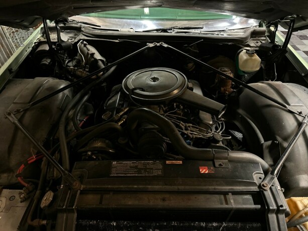 cadillac-deville-bensin-1973-big-47