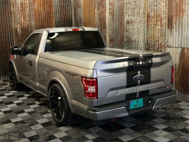 ford-f-serie-bensin-2020-big-12