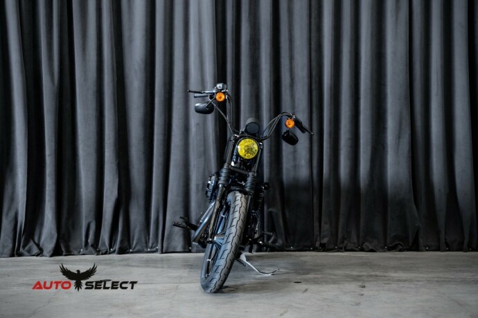 harley-davidson-iron-883-bensin-2020-big-5
