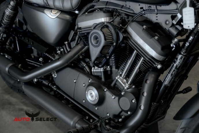 harley-davidson-iron-883-bensin-2020-big-2