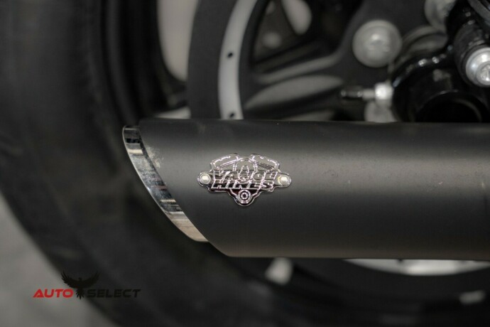 harley-davidson-iron-883-bensin-2020-big-12
