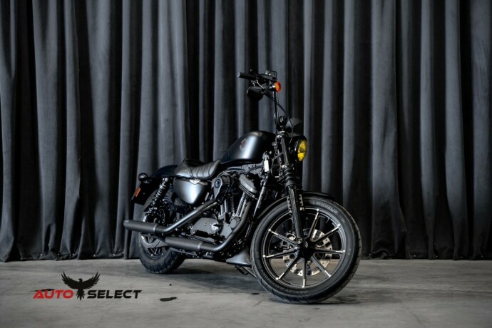 harley-davidson-iron-883-bensin-2020-big-0
