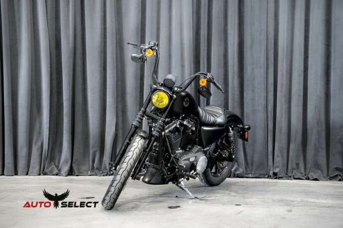harley-davidson-iron-883-bensin-2020-big-7