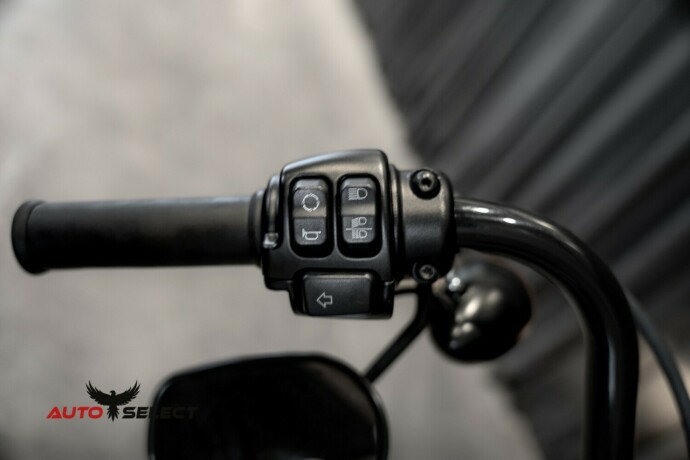 harley-davidson-iron-883-bensin-2020-big-13