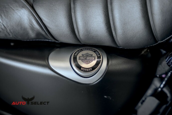 harley-davidson-iron-883-bensin-2020-big-3