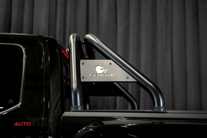 ford-f-serie-bensin-2017-big-12